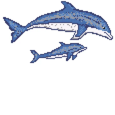 delfines-3_malla-2048x2048